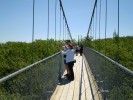 On the Suspension bridge #5