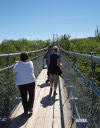 On the Suspension bridge #9