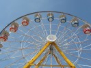 The wheel #2