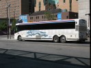 Greyhound coach #1