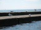 View of Lake Ontario #2