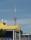 Toronto with CN Tower #3